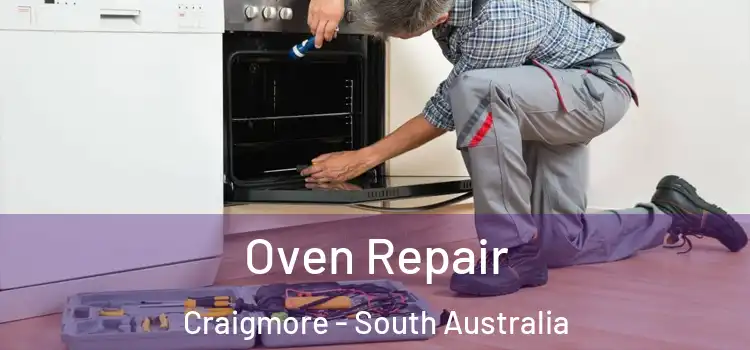 Oven Repair Craigmore - South Australia