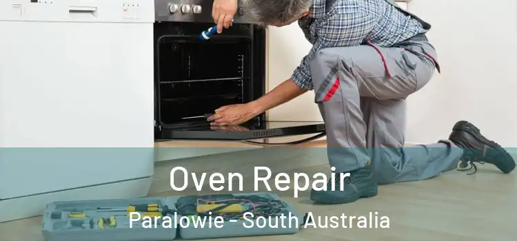 Oven Repair Paralowie - South Australia