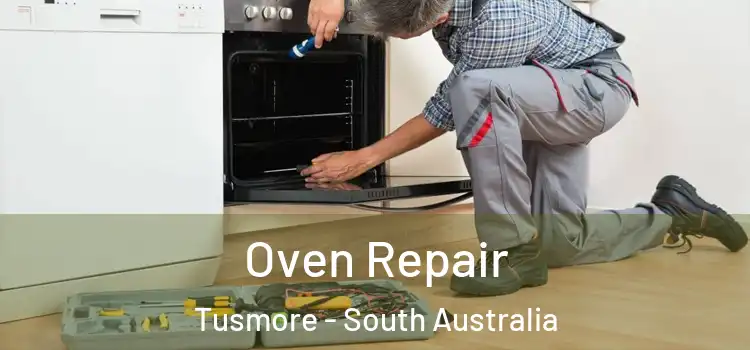 Oven Repair Tusmore - South Australia