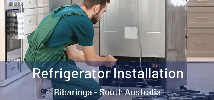Refrigerator Installation Bibaringa - South Australia