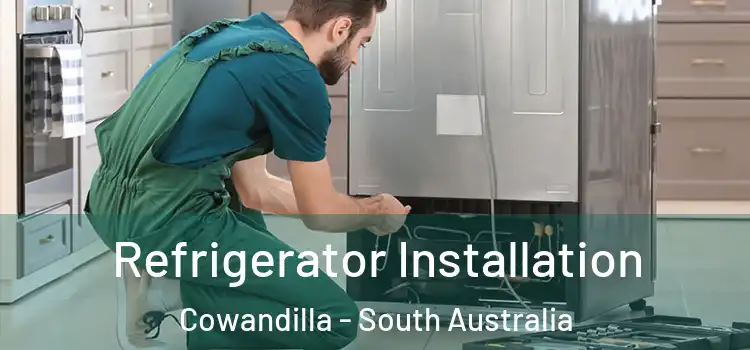 Refrigerator Installation Cowandilla - South Australia