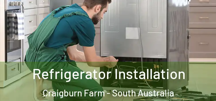 Refrigerator Installation Craigburn Farm - South Australia