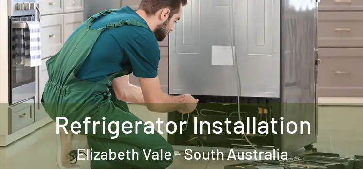 Refrigerator Installation Elizabeth Vale - South Australia