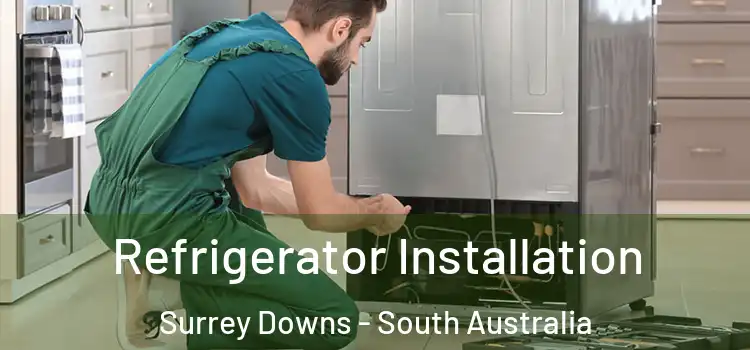 Refrigerator Installation Surrey Downs - South Australia
