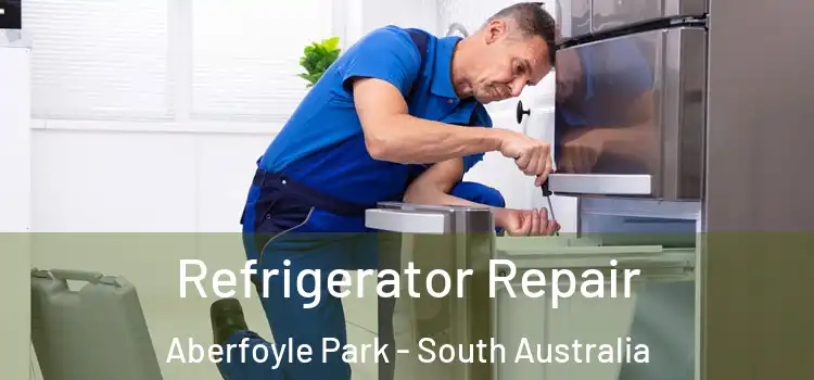 Refrigerator Repair Aberfoyle Park - South Australia