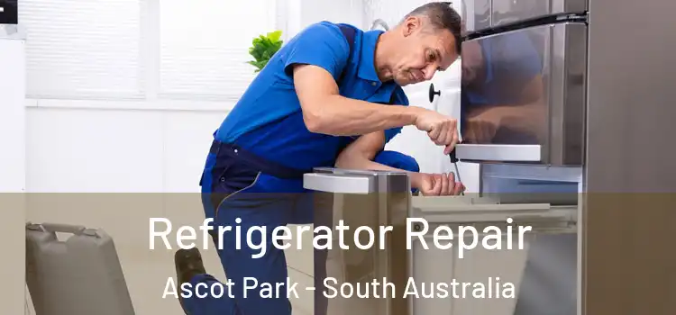 Refrigerator Repair Ascot Park - South Australia
