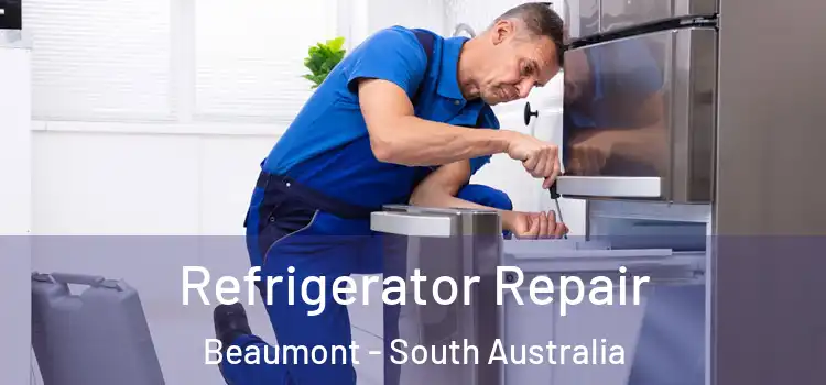 Refrigerator Repair Beaumont - South Australia