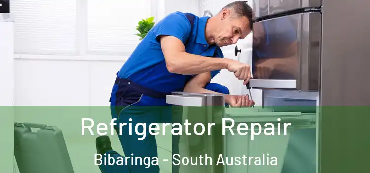 Refrigerator Repair Bibaringa - South Australia