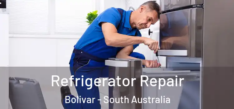 Refrigerator Repair Bolivar - South Australia