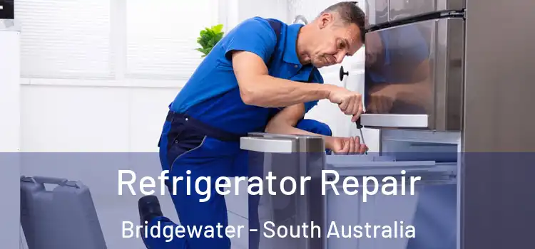 Refrigerator Repair Bridgewater - South Australia