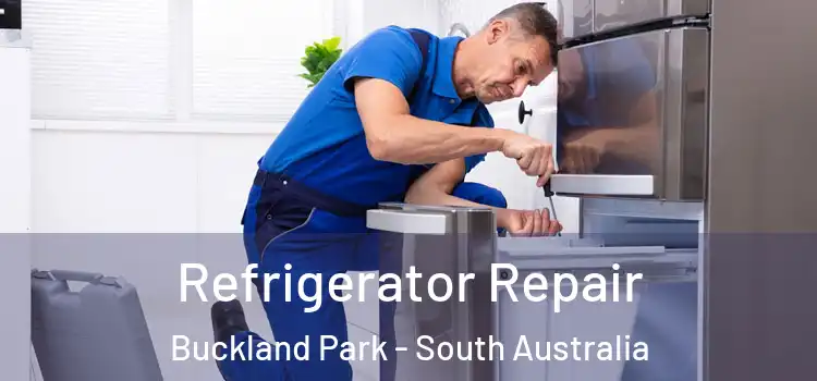 Refrigerator Repair Buckland Park - South Australia