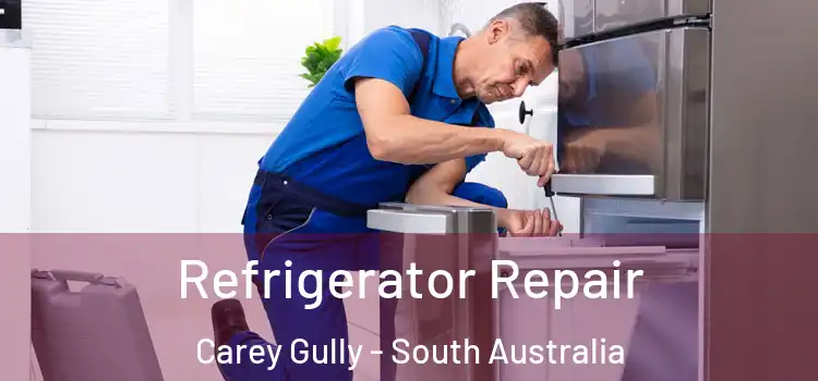 Refrigerator Repair Carey Gully - South Australia