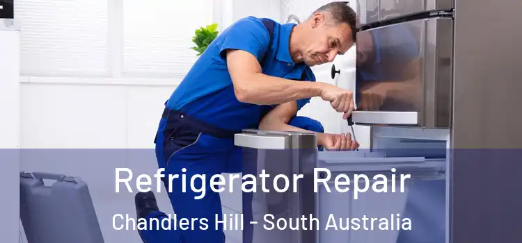Refrigerator Repair Chandlers Hill - South Australia
