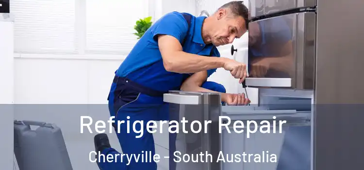 Refrigerator Repair Cherryville - South Australia