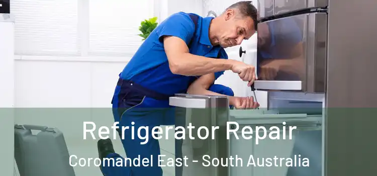 Refrigerator Repair Coromandel East - South Australia