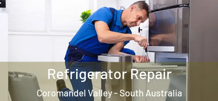 Refrigerator Repair Coromandel Valley - South Australia