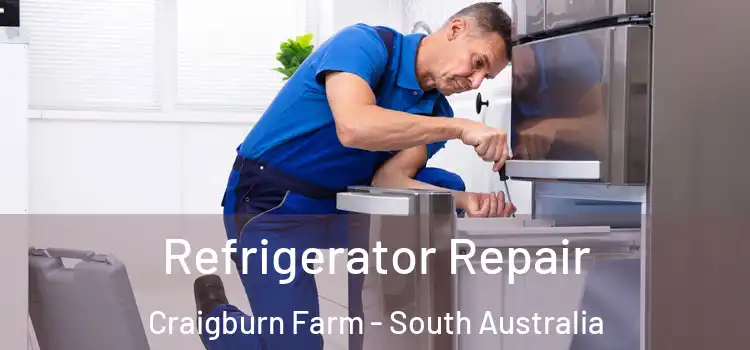 Refrigerator Repair Craigburn Farm - South Australia