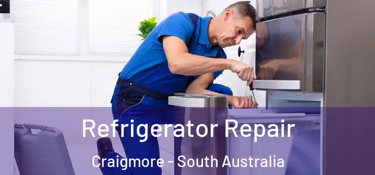 Refrigerator Repair Craigmore - South Australia