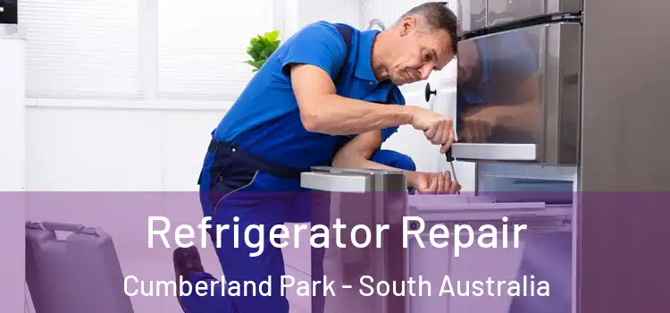 Refrigerator Repair Cumberland Park - South Australia