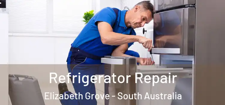 Refrigerator Repair Elizabeth Grove - South Australia