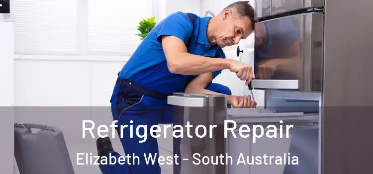 Refrigerator Repair Elizabeth West - South Australia