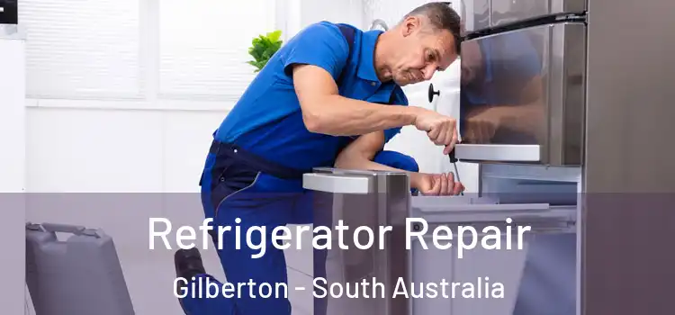 Refrigerator Repair Gilberton - South Australia