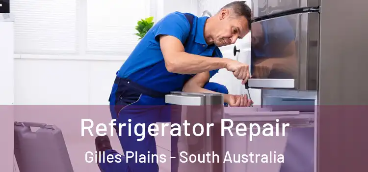 Refrigerator Repair Gilles Plains - South Australia