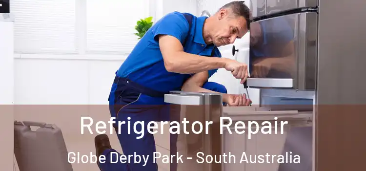 Refrigerator Repair Globe Derby Park - South Australia