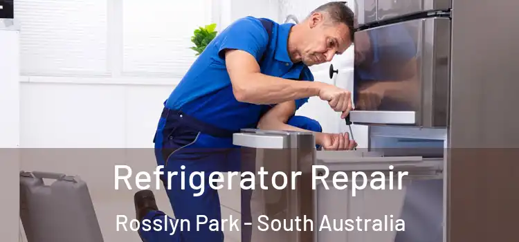 Refrigerator Repair Rosslyn Park - South Australia