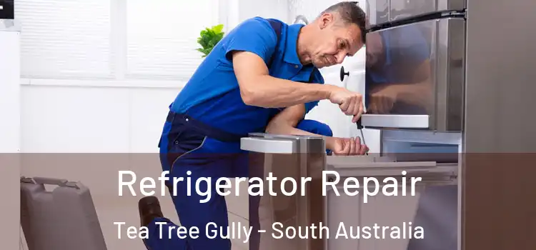 Refrigerator Repair Tea Tree Gully - South Australia
