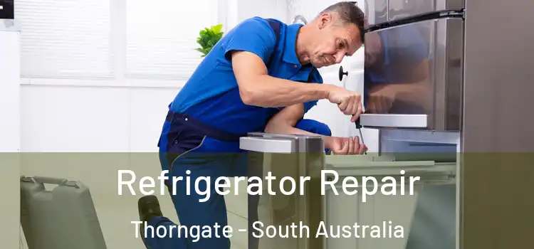 Refrigerator Repair Thorngate - South Australia