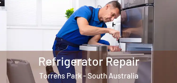Refrigerator Repair Torrens Park - South Australia