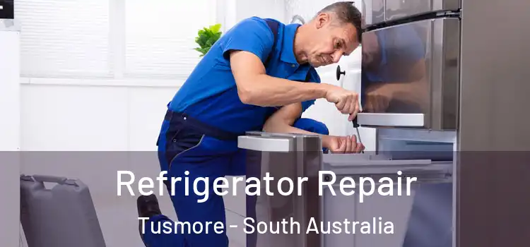 Refrigerator Repair Tusmore - South Australia