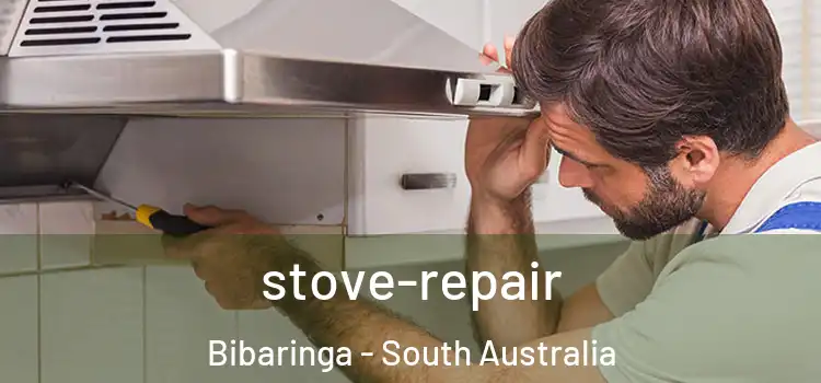 stove-repair Bibaringa - South Australia