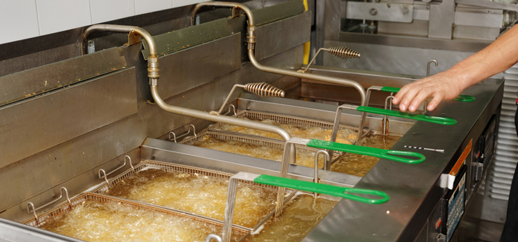 Liebherr Commercial Fryer Repair in Adelaide